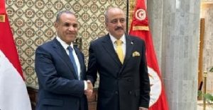وزيرا خارجية مصر وتونس يتوافقان على دعم مسار الحل الليبى