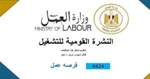 وزارة العمل.. 4424 فرصة عمل جديدة للشباب في 72 شركة خاصة في 12 محافظة