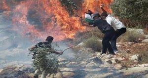 المستوطنون اليهود الإسرائيليون يواصلون تدمير الأراضي الفلسطينية في الضفة الغربية