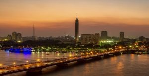 مصر تعلن منع كارثة بيولوجية بإحباطها عملية تهريب فريدة من نوعها