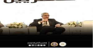 «المجلس الأعلى للجامعات» يستعرض جهود تطوير التعليم والخدمات المقدمة للمصريين بالخارج