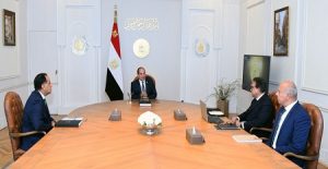 الرئيس “السيسي” يدعو لتشجيع الاستثمار الخاص في المجال الطبي وصناعة الدواء