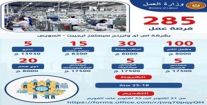 وزارة العمل.. 285 فرصة عمل جديدة بشركة «إس آي وايرنج سيستمز إيچبت» بالسويس