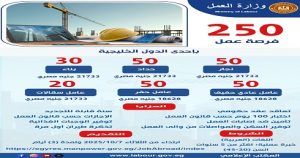 وزير العمل يُعلن عن 250 فرصة عمل بإحدى الدول الخليجية في مجالات البناء والنجارة والحدادة ..التقديم لمدة 3 أيام
