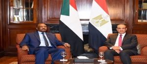 اجتماع مصري سوداني في القاهرة بعد أحداث الفاشر المأساوية
