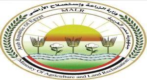 وزارة “الزراعة” تعلن بدء الموسم التصديري الجديد لمحصول البرتقال المصري منتصف ديسمبر المقبل