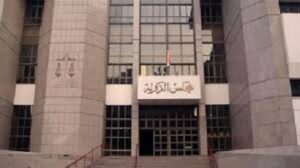 المحكمة الإدارية العليا تقضى بعدم قبول 100 طعن على نتيجة انتخابات المرحلة الأولى