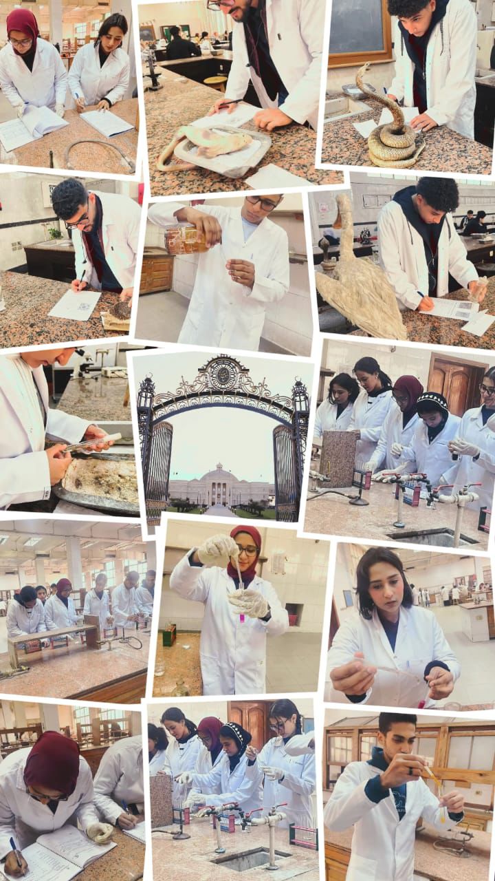 استعدادا لامتحانات العملى لنهاية الفصل الدراسي الأول