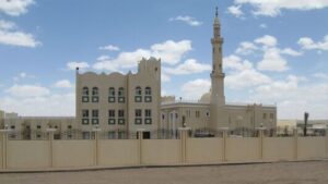 مصر والصومال وجيبوتي وتركيا ترفض اعتراف إسرائيل بأرض الصومال
