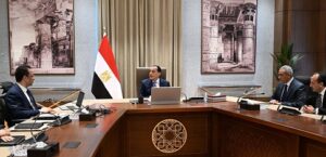 الحكومة: السوق المصرية تضم 15 علامة تجارية تصنع الهواتف المحمولة وملحقاتها