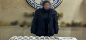 الأجهزة الأمنية تضبط سيدة تنصب على مواطنين بزعم استيراد سيارات من الخارج