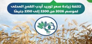 وزير المالية: زيادة سعر توريد أردب القمح المحلي من 2200 إلى 2350 جنيها