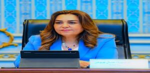 وزيرة التنمية المحلية والبيئة تعلن تنفيذ حملة لإزالة المباني المخالفة بحي ثان المحلة الكبرى بالغربية