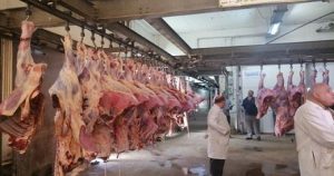 فتح المجازر بالمجان وحظر بيع الأضاحي في الطرق العامة.. قرارات محافظة القاهرة