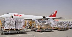 وصول طائرة مساعدات إماراتية تحمل 100 طن إلى مطار العريش تمهيدًا لإدخالها إلى غزة