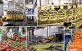 الصناعات الغذائية المصرية تسجل رقمًا قياسيًا.. صادرات بقيمة 3.77 مليار دولار خلال النصف الأول من 2026