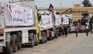 مصر تواصل دعم غزة.. الهلال الأحمر المصري يدفع القافلة الإنسانية رقم 241 عبر معبر رفح