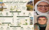 جامعة القاهرة توثق ثروة مصر النباتية في أول تحديث شامل للفلورا المصرية منذ أكثر من 15 عامًا