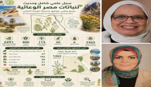 جامعة القاهرة توثق ثروة مصر النباتية في أول تحديث شامل للفلورا المصرية منذ أكثر من 15 عامًا
