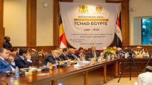 قنصوة من إنجامينا: توسيع التعاون الجامعي بين مصر وتشاد وتعزيز الشراكة الأكاديمية