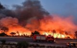 كارثة نيران تهز الجزائر.. 12 قتيلًا و54 مصابًا في حرائق مدمرة بعدة ولايات