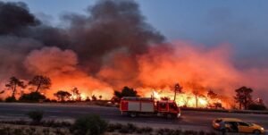 كارثة نيران تهز الجزائر.. 12 قتيلًا و54 مصابًا في حرائق مدمرة بعدة ولايات