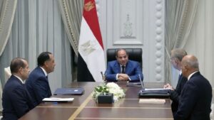 السيسي يوجه بنقلة نوعية لتعظيم القيمة المضافة من الثروات المعدنية وزيادة إنتاج البترول والغاز