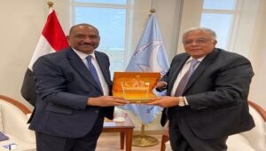 تعاون مصري ـ دولي لتعزيز حقوق الإنسان.. لقاء يجمع رئيس «القومي لحقوق الإنسان» والمدير التنفيذي لمعهد جنيف